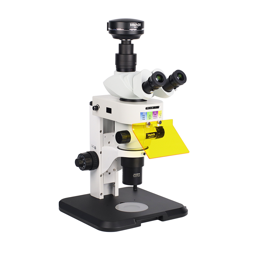 Scientific Grade Stereo Fluorescence Microscope MZX81
