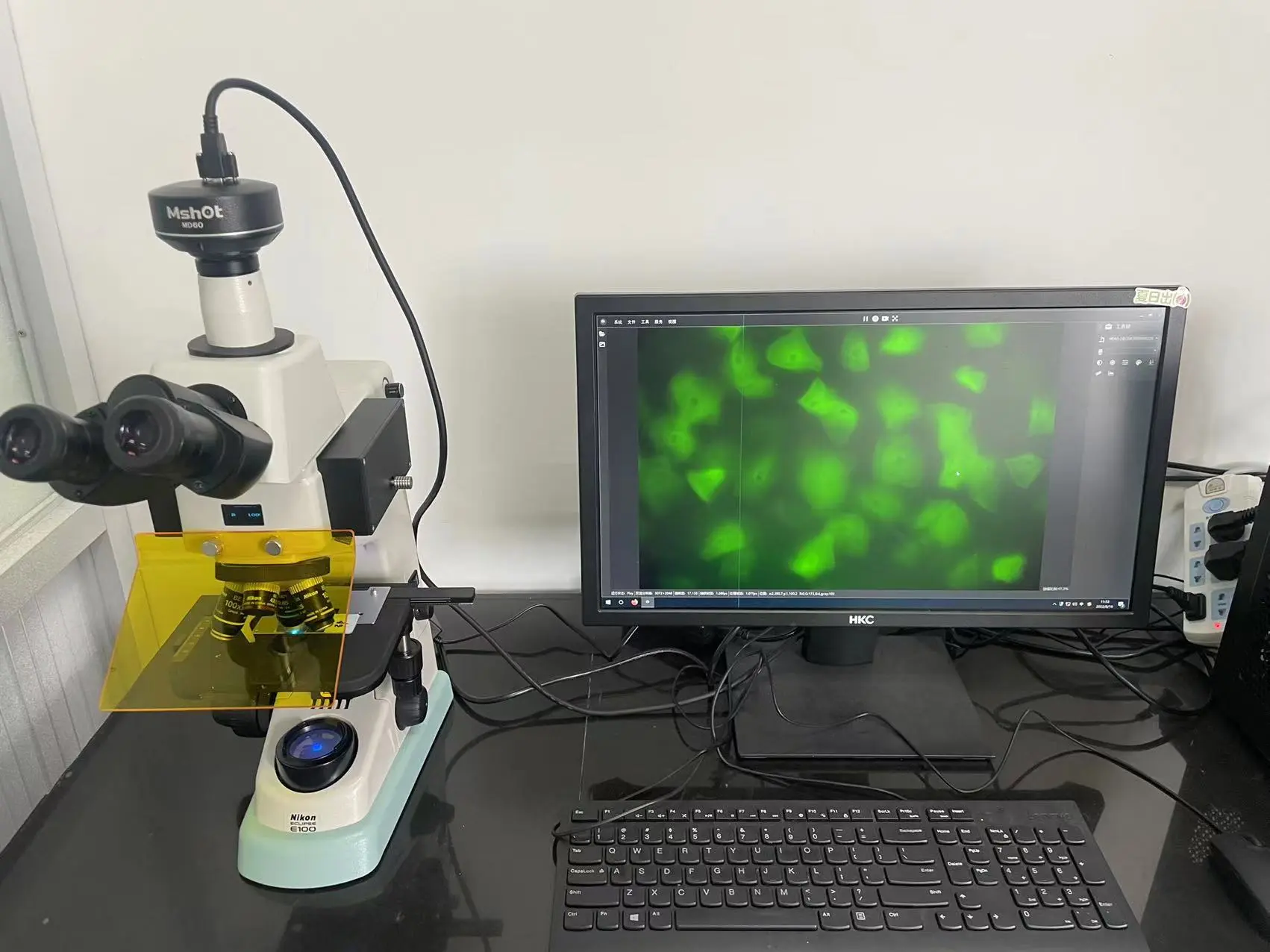 Upgrade Nikon ECLIPSE E100 Microscope to LED Fluorescence - Image 4